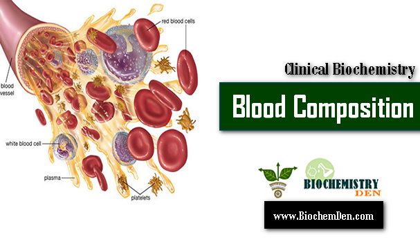 What is the Composition of Blood ?