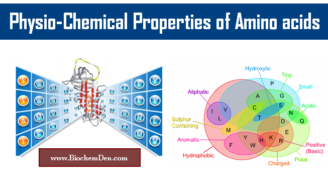 Physio Chemical Properties of Amino acids? (Guide)