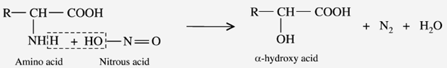 Reaction with Nitrous acid : What are the Physio Chemical Properties of Amino acids?