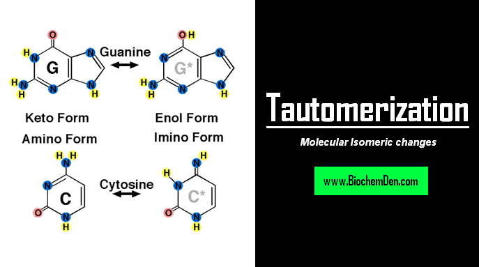 What is Tautomerization and its changes? (Basics)