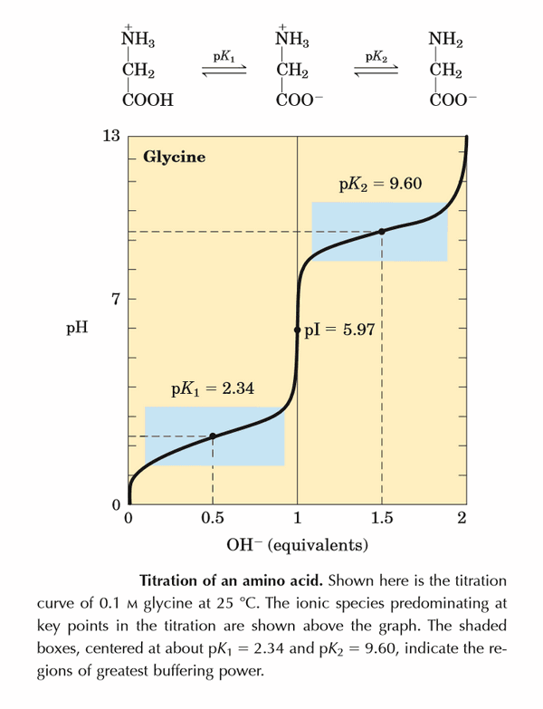 Titration Curve Of Glycine The Zwitter Ionic Changes