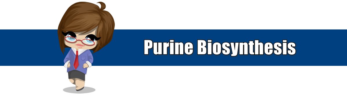 purine biosynthesis
