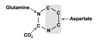 source of atoms in pyrimidine ring