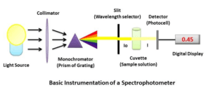 Spectrophotometer Instrumentation : Principle and Applications