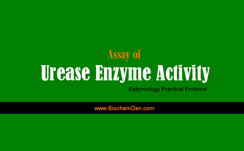 Assay of Urease Enzyme activity Protocol