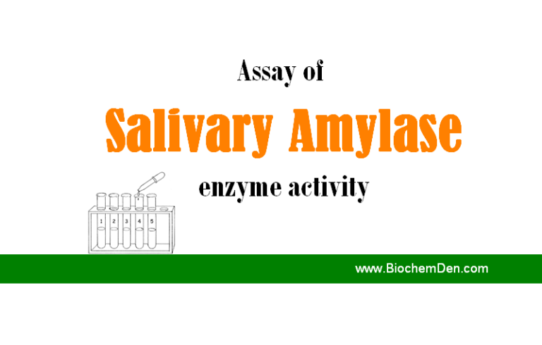 Assay of Salivary Amylase enzyme activity
