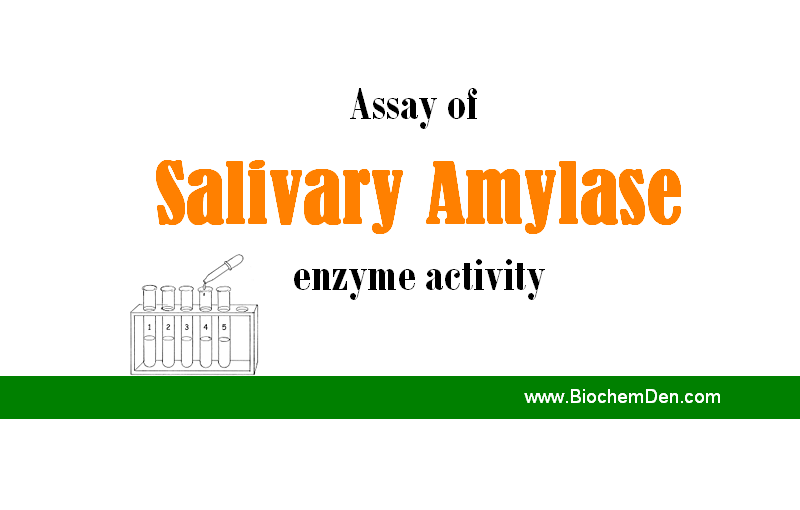 Assay-of-amylase-enzyme-activity