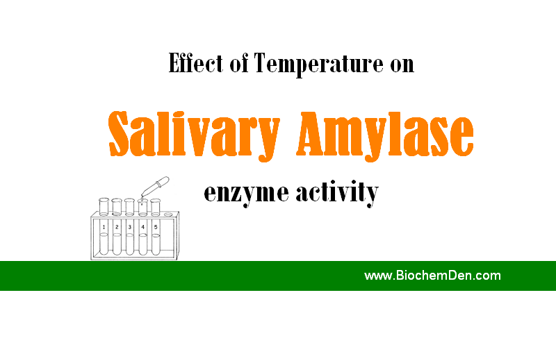 Effect of Temperature on Amylase enzyme activity