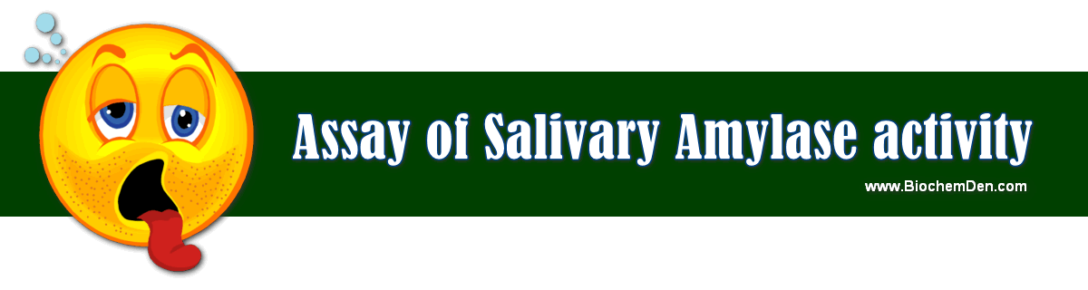 assay of salivary amylase activity