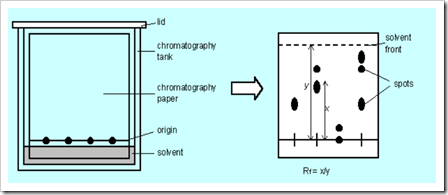 chromatography 1