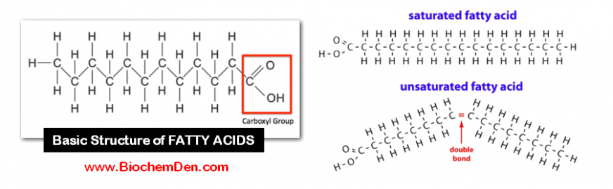 Fatty Acids Are The Building Blocks Of Fats And Oils 2020