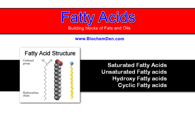 Fatty acids are the Building Blocks of Fats and Oils (Short Notes)