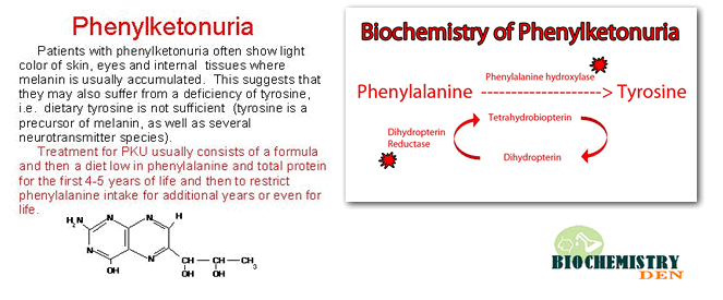 phenylketoneuria definition