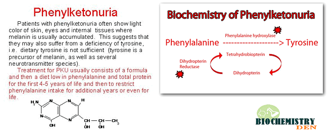 pku cause and effect