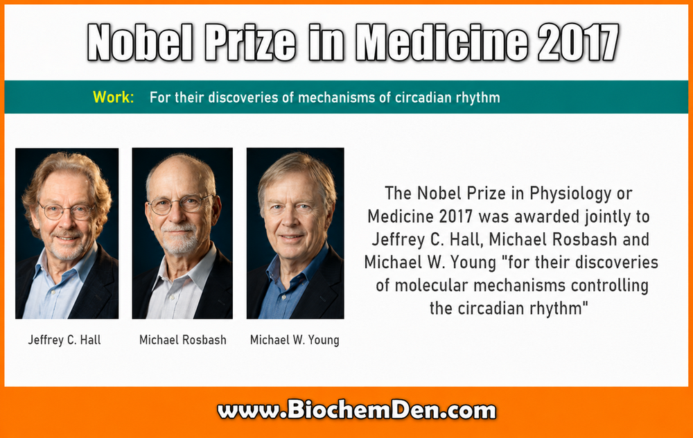 Nobel Prize In Physiology or Medicine in 2017