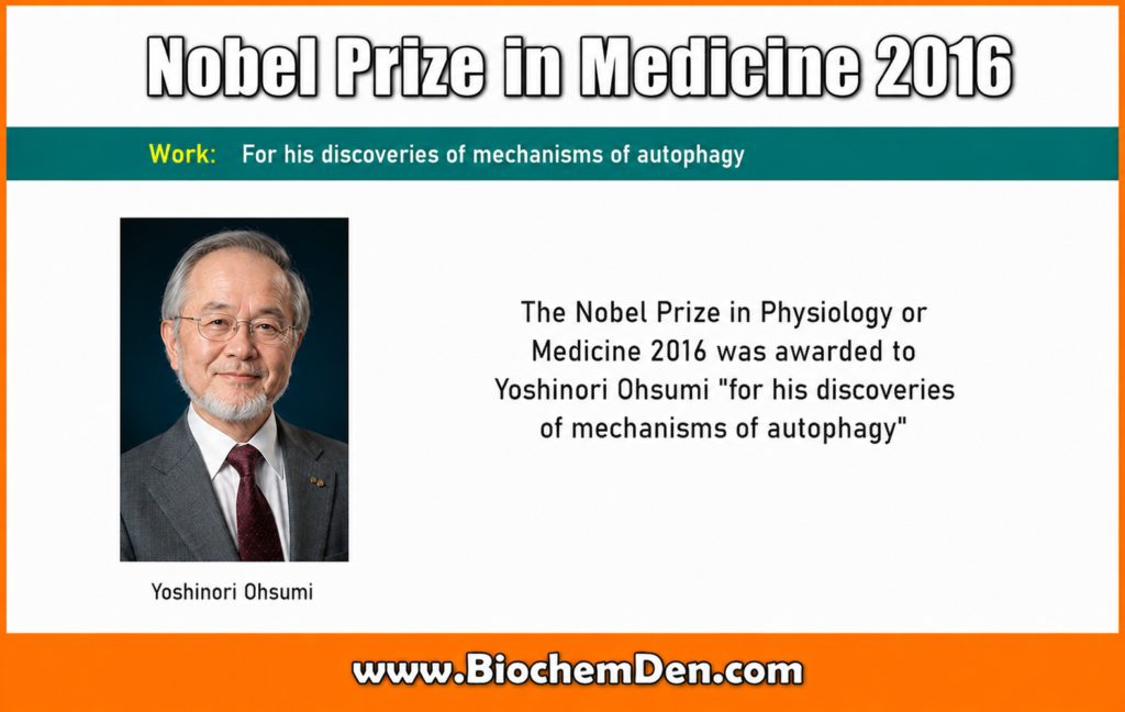  Nobel Prize in Physiology or Medicine in 2016