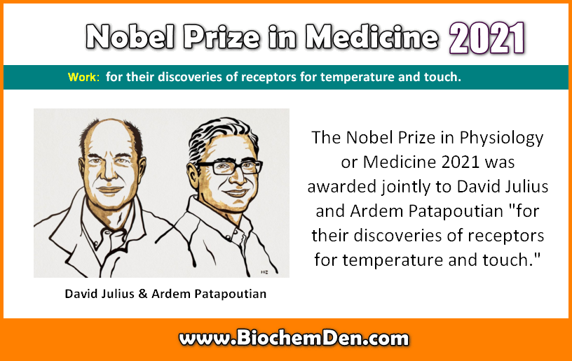 nobel prize in medicine 2021