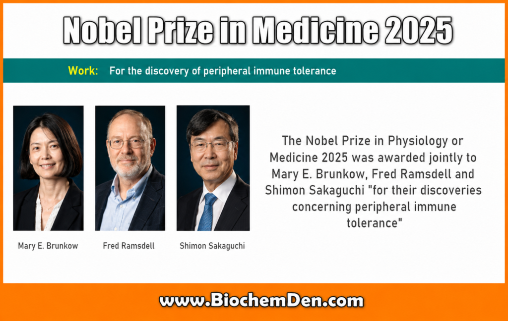 Nobel Prize in Physiology or Medicine in 2025