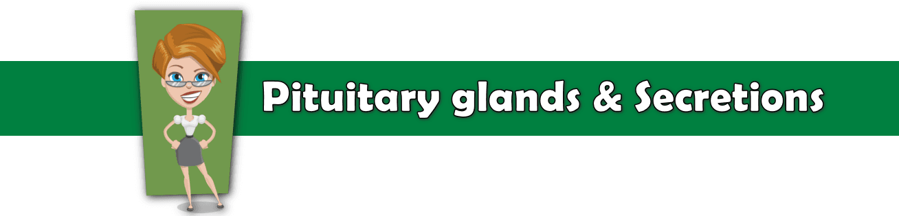 pituitary glands and secretions