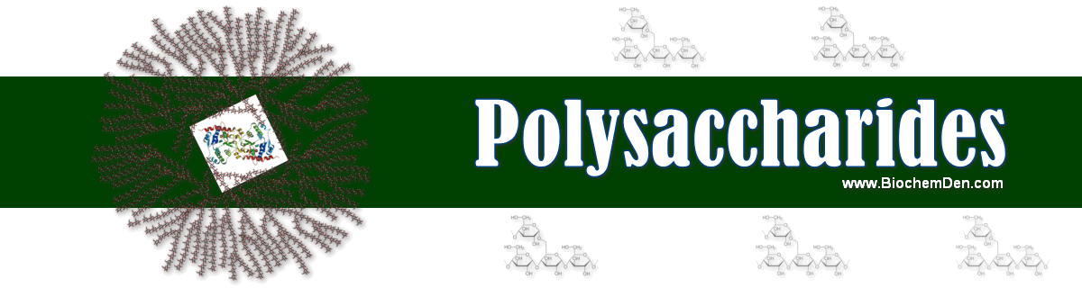 polysaccharides and types