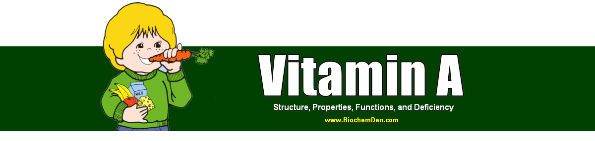 Vitamin A structure functions 2020