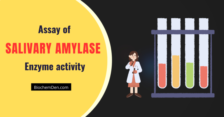 Assay of Salivary Amylase enzyme activity