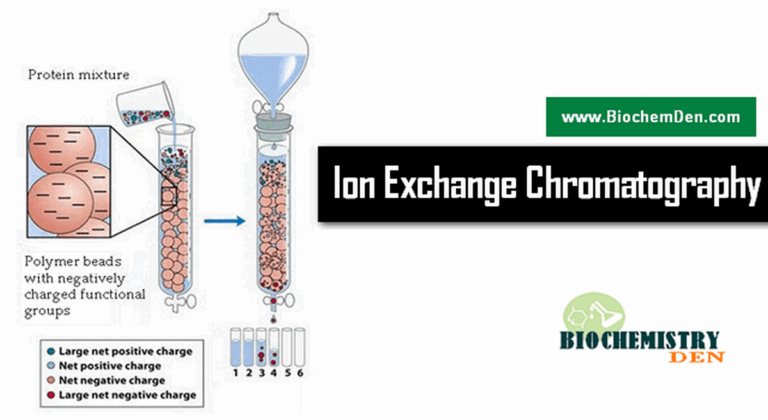 Ion Exchange Chromatography: Principle, Procedure and Applications