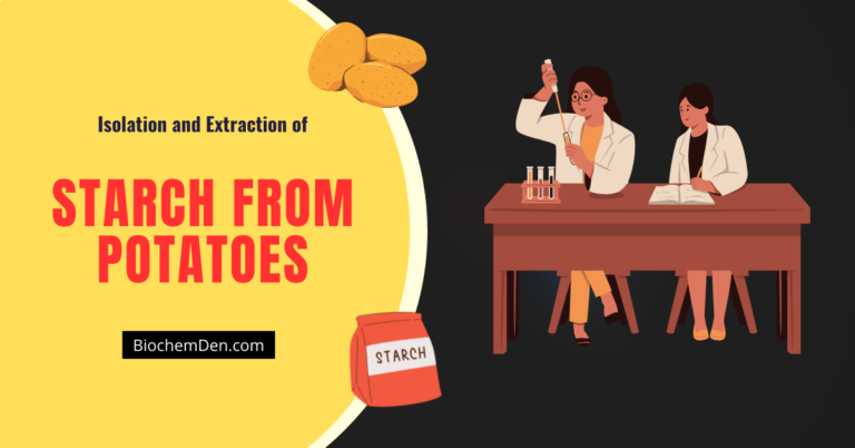 Isolation of Starch from Potatoes (Practical Protocol) – A Step-by-Step Guide