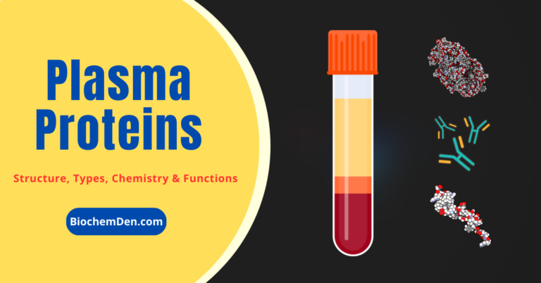 Plasma Proteins: Chemistry, Structure, Types and Functions