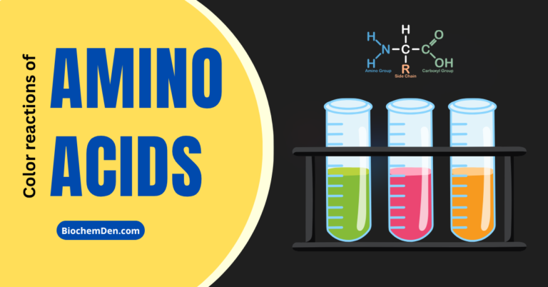 Color reactions of Amino acids