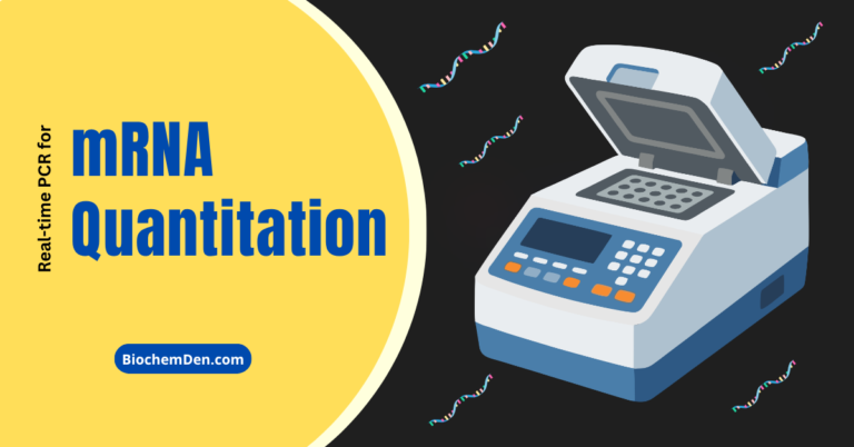 Real-time PCR for mRNA Quantitation
