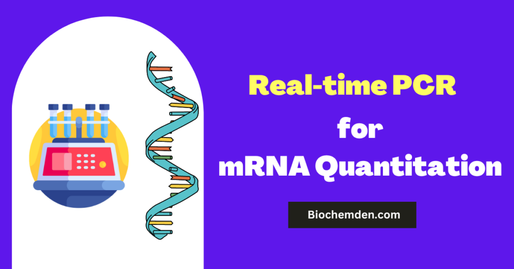Real-time PCR for mRNA Quantitation