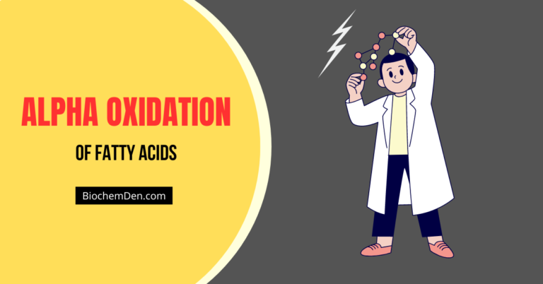 Alpha Oxidation of fatty acids – Definition, Location, Pathway, Steps, Significance