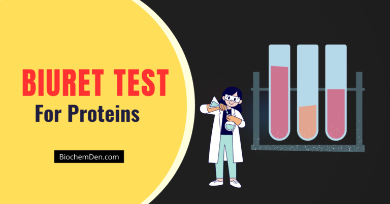 Biuret Test for Protein- Definition, Principle, Procedure, Results, Uses