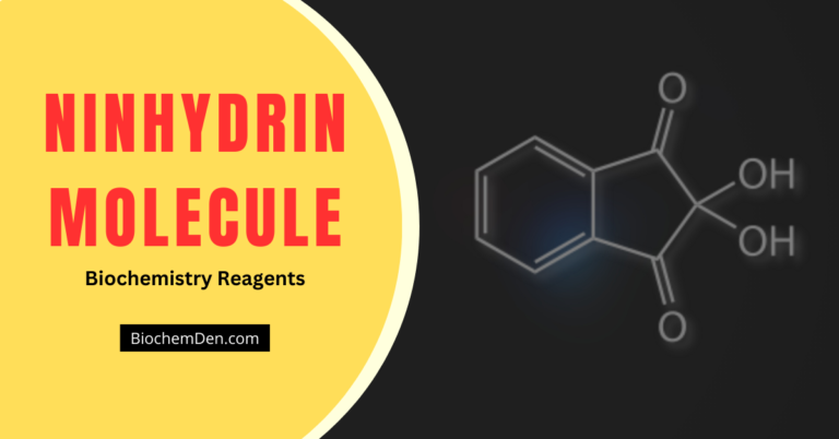 Ninhydrin Molecule: Structure, History, Properties and Application
