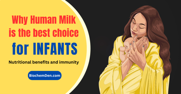 Why Human Milk is the Best Choice for Infants