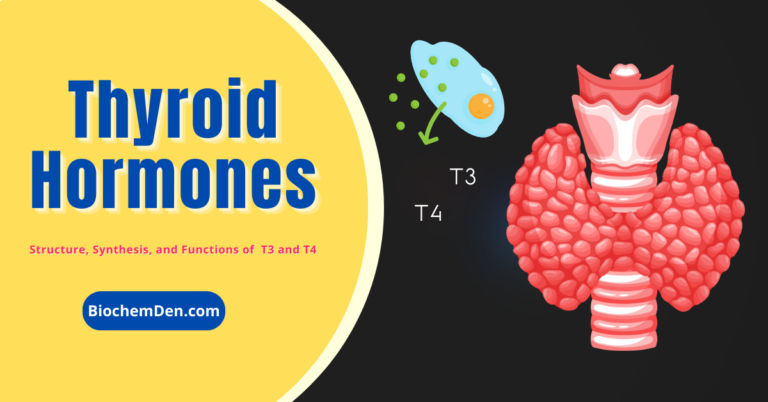 Thyroid Hormones: Structure, Chemistry, Secretions, and Functions