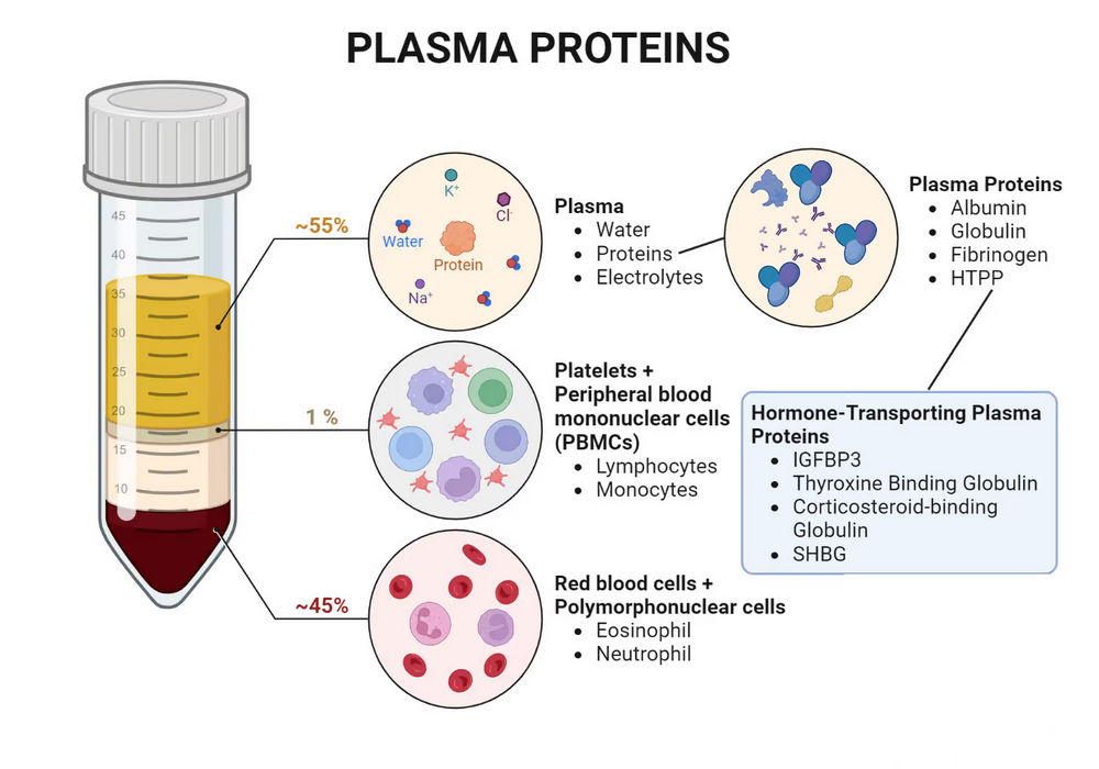 Types of Plasma Proteins
