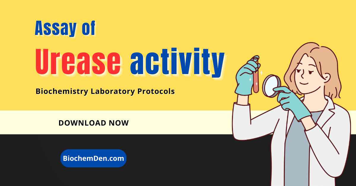 Assay of Urease enzyme activity
