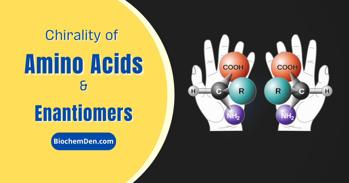 Chirality Of Amino Acids Enantiomers Importance In Biology