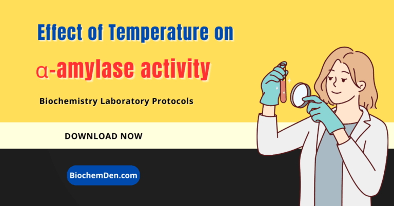 Effect of Temperature on Amylase activity