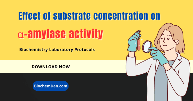 Effect of substrate concentration on alpha amylase activity