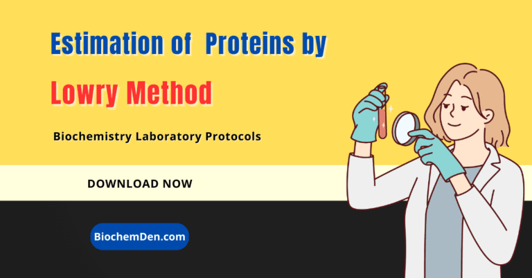 Estimation of Proteins by the Lowry Method