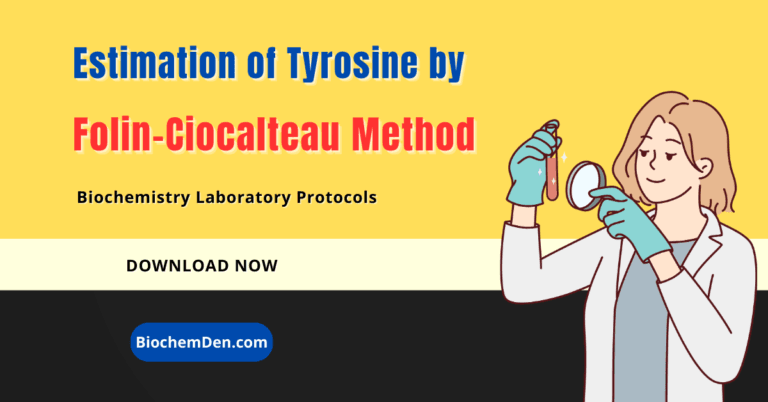 Estimation of Tyrosine by the Folin-Ciocalteau Method