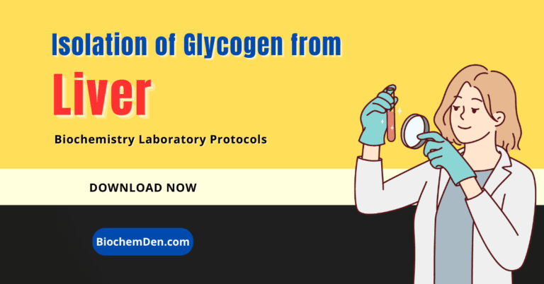 Isolation of Glycogen from Liver