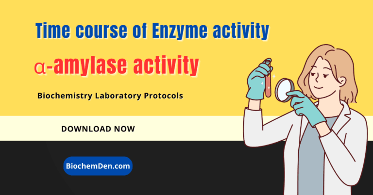 Time course of Enzyme activity (alpha amylase)