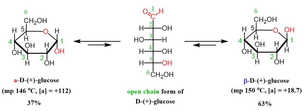 glucose equilibrium of isomers changes specific rotation mutarotation