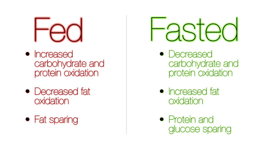 Fed State vs Fasting State