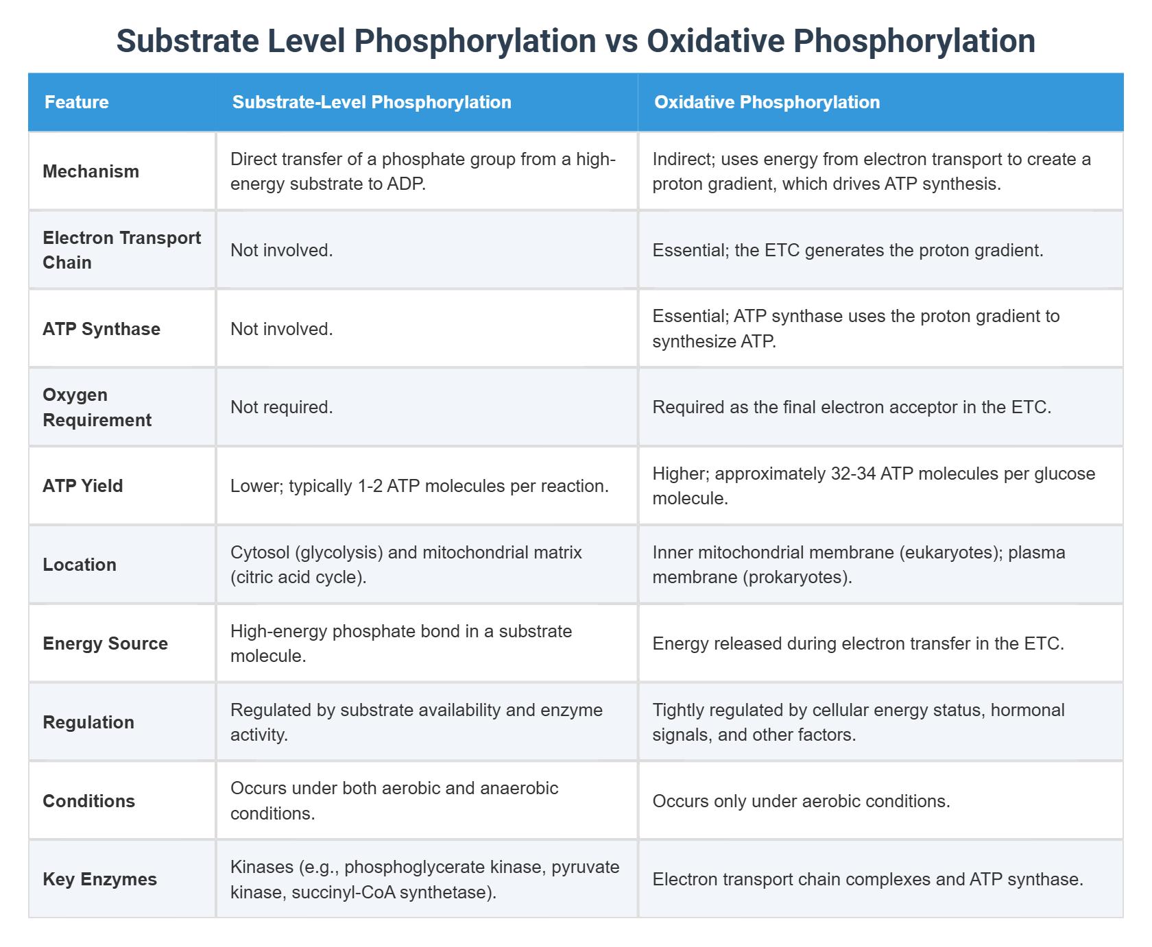 Oxidative Phosphorylation vs Substrate-Level Phosphorylation