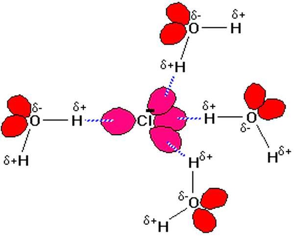 hydrophobic interactions in proteins